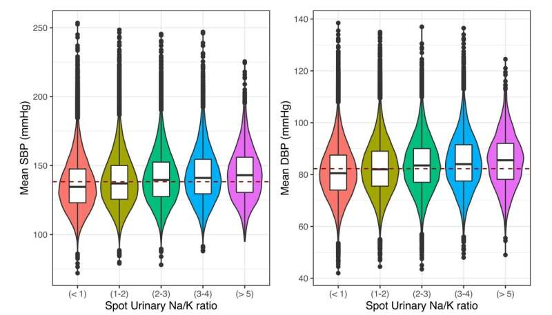Relationship between increasing urinary sodium/potassium ratio and blood pressure. Systolic blood pressure (SBP, left) and diastolic blood pressure (DBP, right) is plotted for categories for spot urinary sodium potassium ratio as a box-and-whisker plot overlaid on a violin plot. The x-axis denotes a sodium/potassium ratio < 1, between 1 and 2, between 2-3, between 3-4, and greater than 5. Credit: Circulation (2023). DOI: 10.1161/CIRCULATIONAHA.123.065394