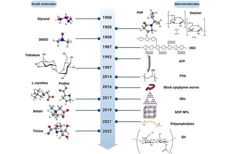 History of the development of small molecule- and macromolecule-based cryoprotectants for red blood cell cryopreservation. DMSO = dimethyl sulfoxide. Credit: MedComm – Future Medicine (2023). DOI: 10.1002/mef2.67