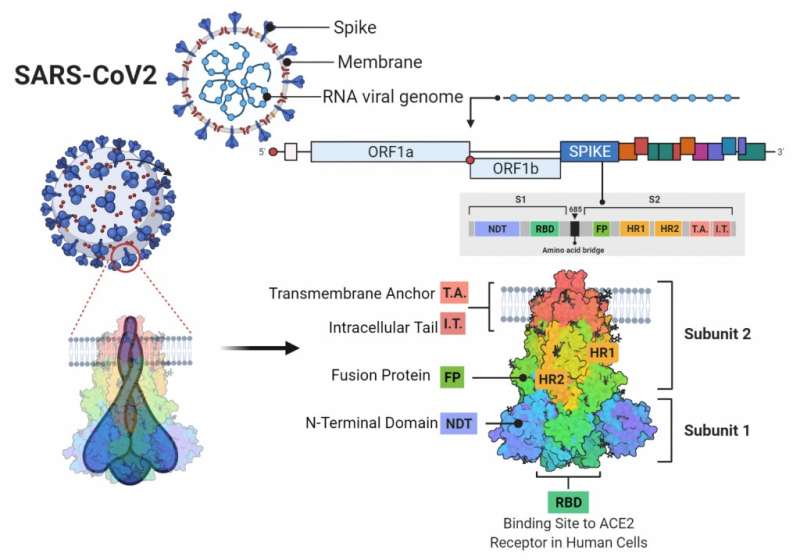 Why SARS-CoV-2 mutations come and go, and physicians' advice remains the same: Please vaccinate
