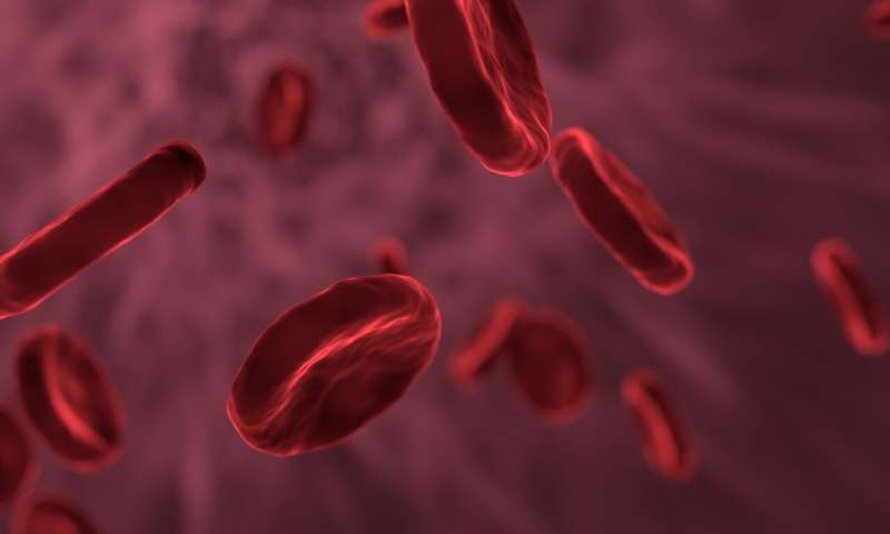 Diagnostic test helps find bloodstream infections before they appear
