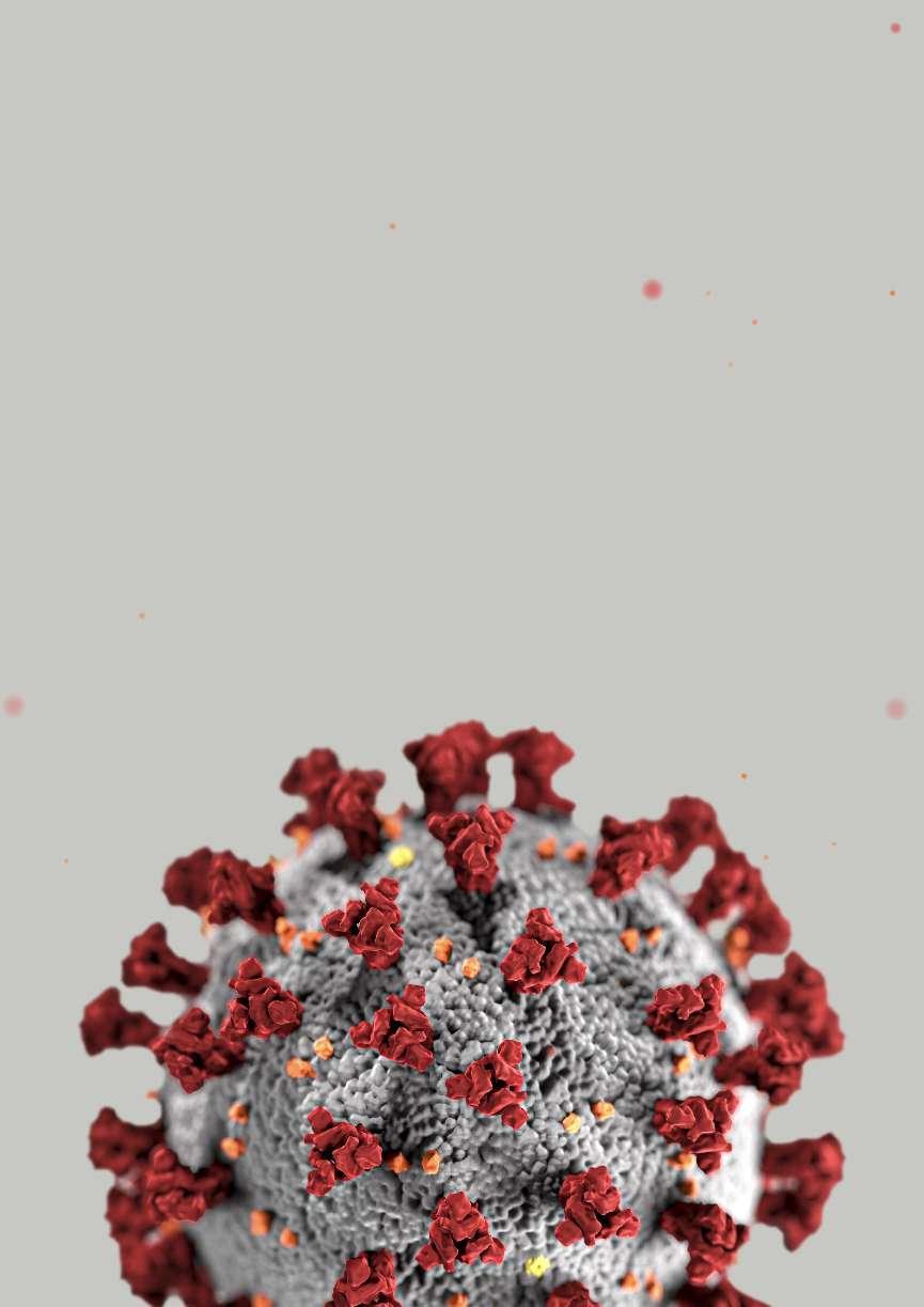 coronavirus-gray-background