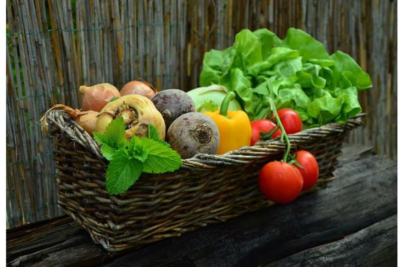Half of US kids not eating daily vegetable: survey 