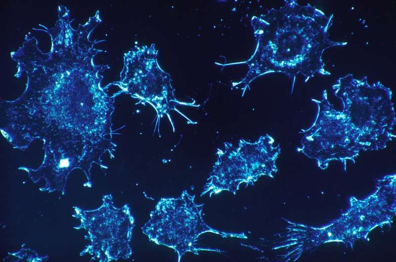 Alternative molecular mechanisms observed in cancer cells 