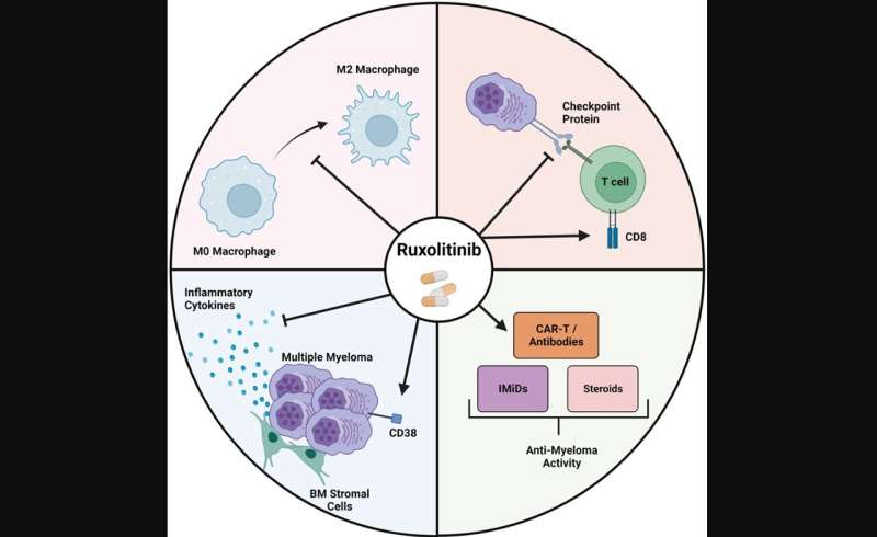 Evaluation of ruxolitinib, a JAK inhibitor, in multiple myeloma 