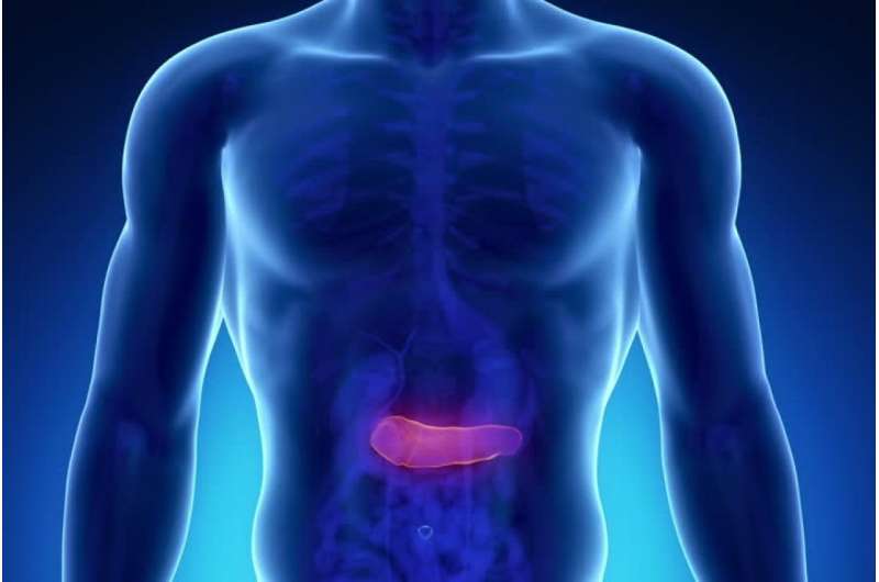 Do pancreatic cysts become cancerous? 