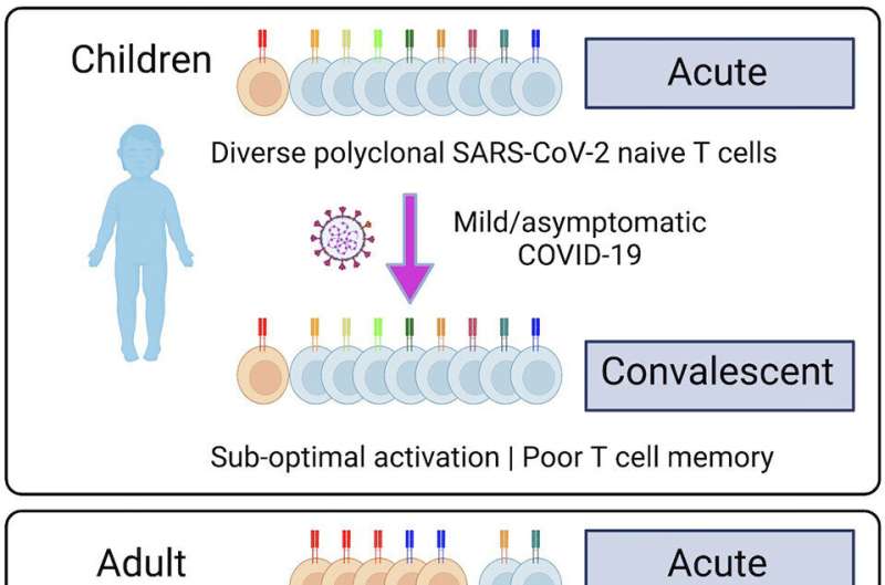 Children's immune response to COVID is fast but doesn't last, finds study 