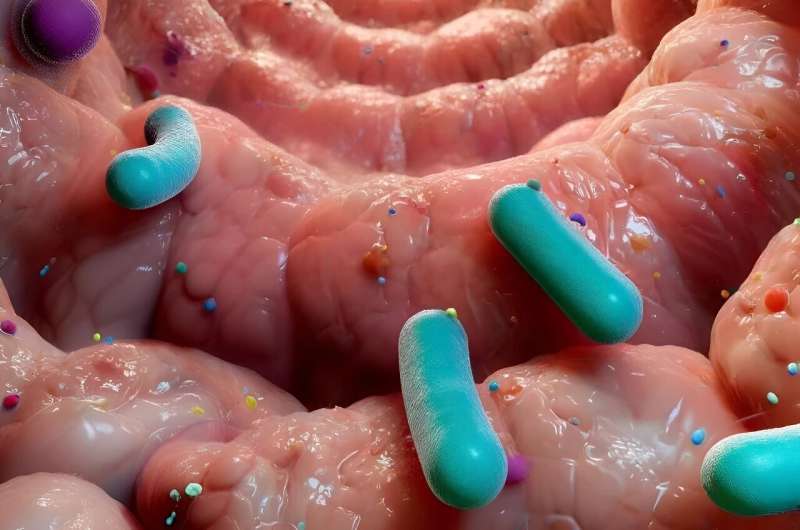 Gut bacteria and inflammatory bowel disease: Exploring the potential of prebiotics