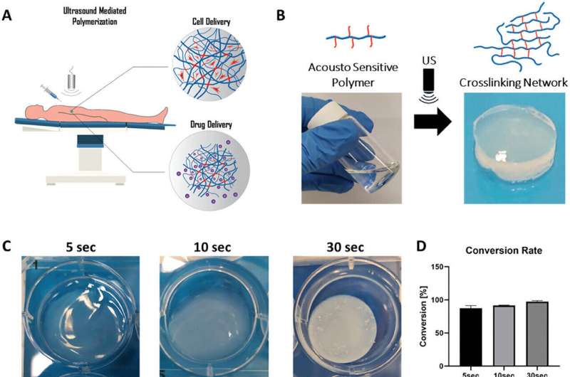 Scientists harness ultrasound for drug delivery and tissue implantation