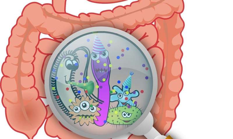 Microbial strains show individualized patterns of stability in the developing infant gut 