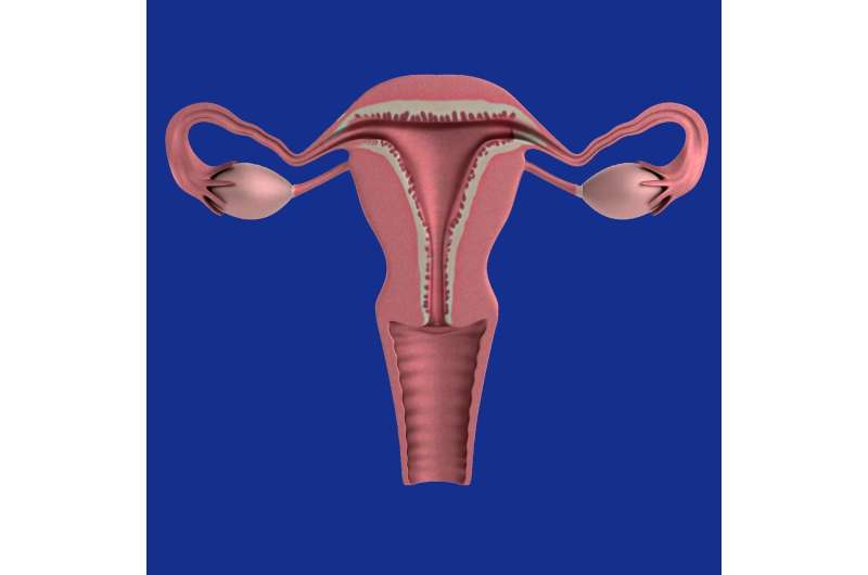 Study: How to safely remove ovary in girls for best results in fertility preservation 