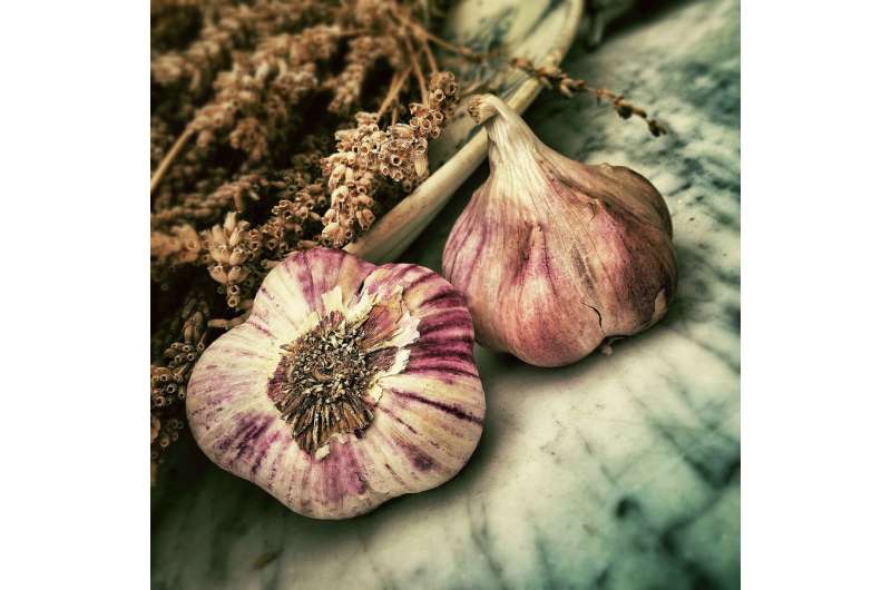 Benefits of garlic extend to Alzheimer's 