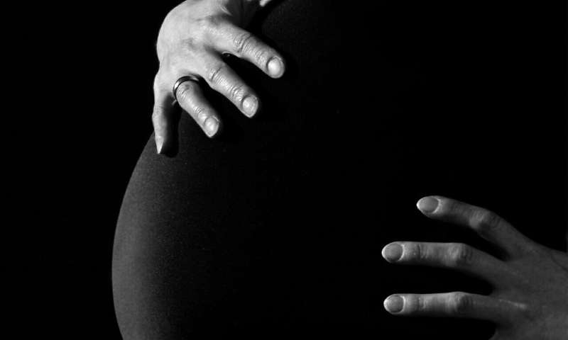 Researchers show how stem cell depletion leads to recurring pregnancy loss 