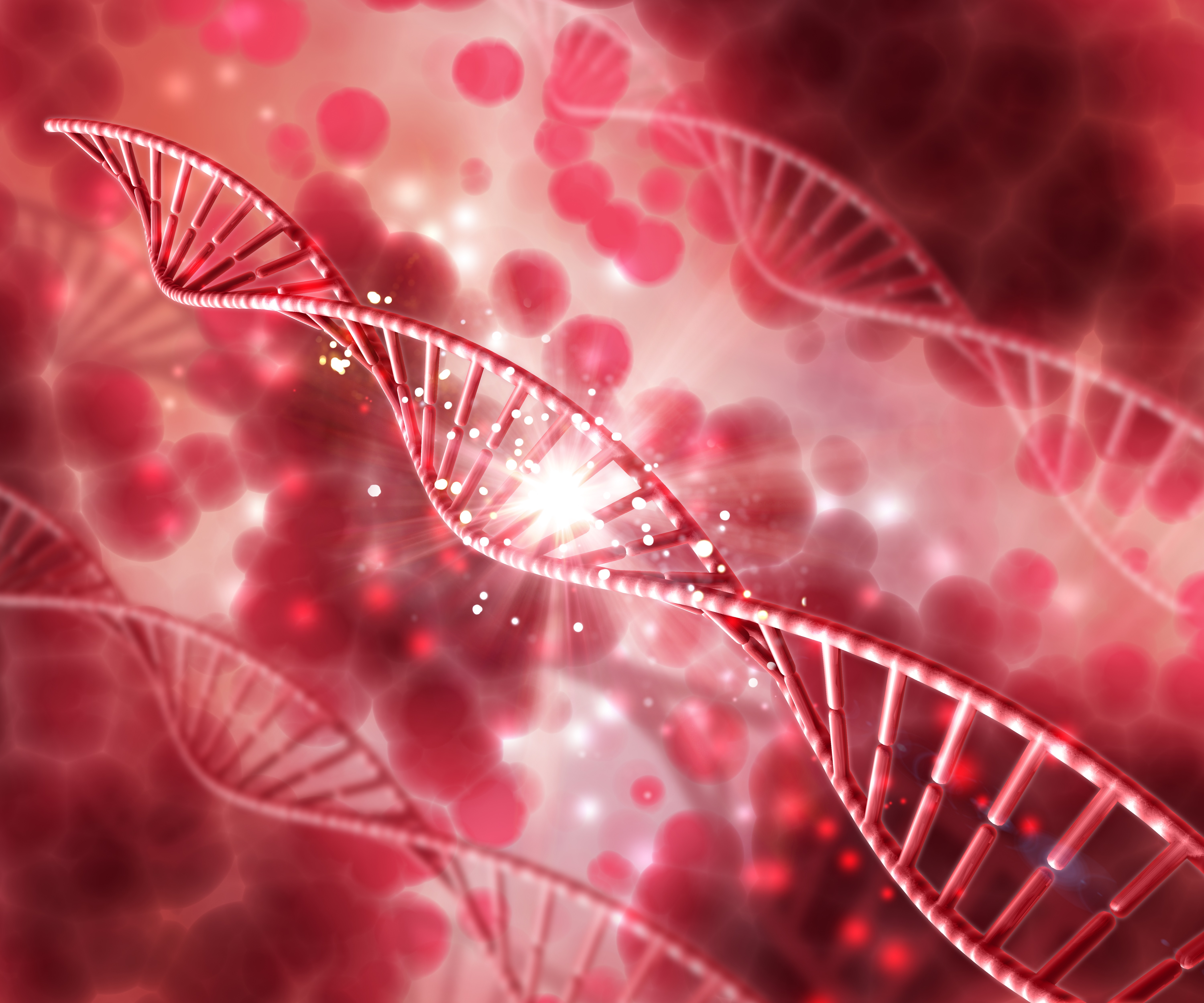 Step-by-Step "Blood Replacement": A New ADC Therapy for Precise Tumor Elimination