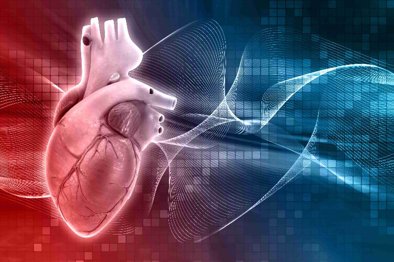 Harnessing AI: Early Heart Failure Detection through Chest X-Rays