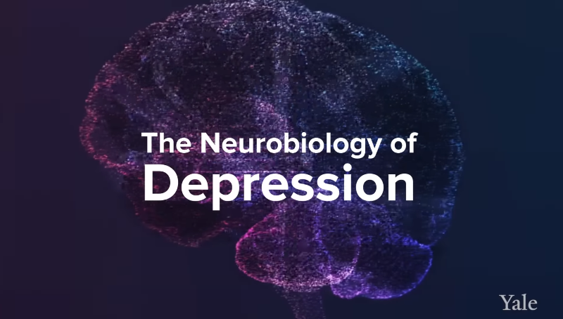 How Depression Affects The Brain - Yale Medicine Explains