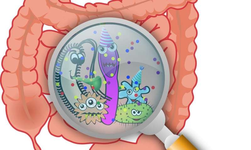 Why we differ in our ability to fight off gut infections 