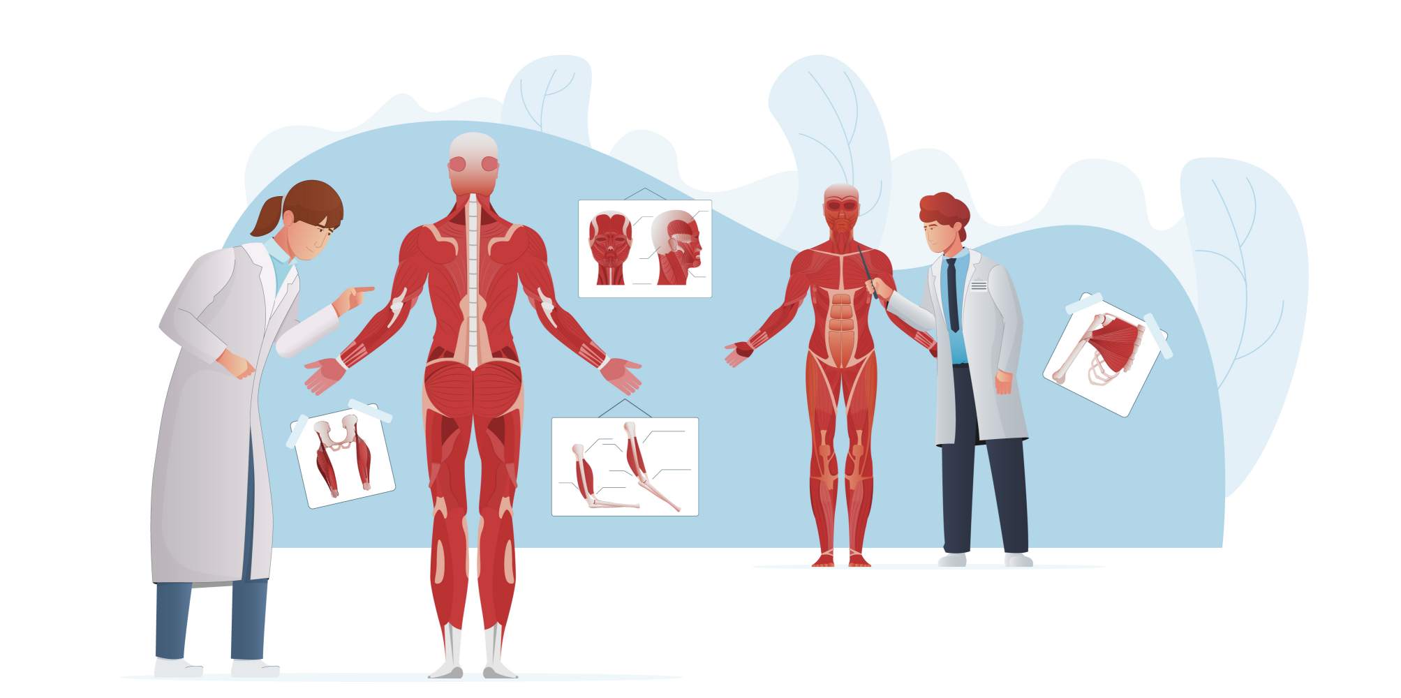 Machine Learning for Musculoskeletal Pain Classification: Unlocking Precision in Diagnosis